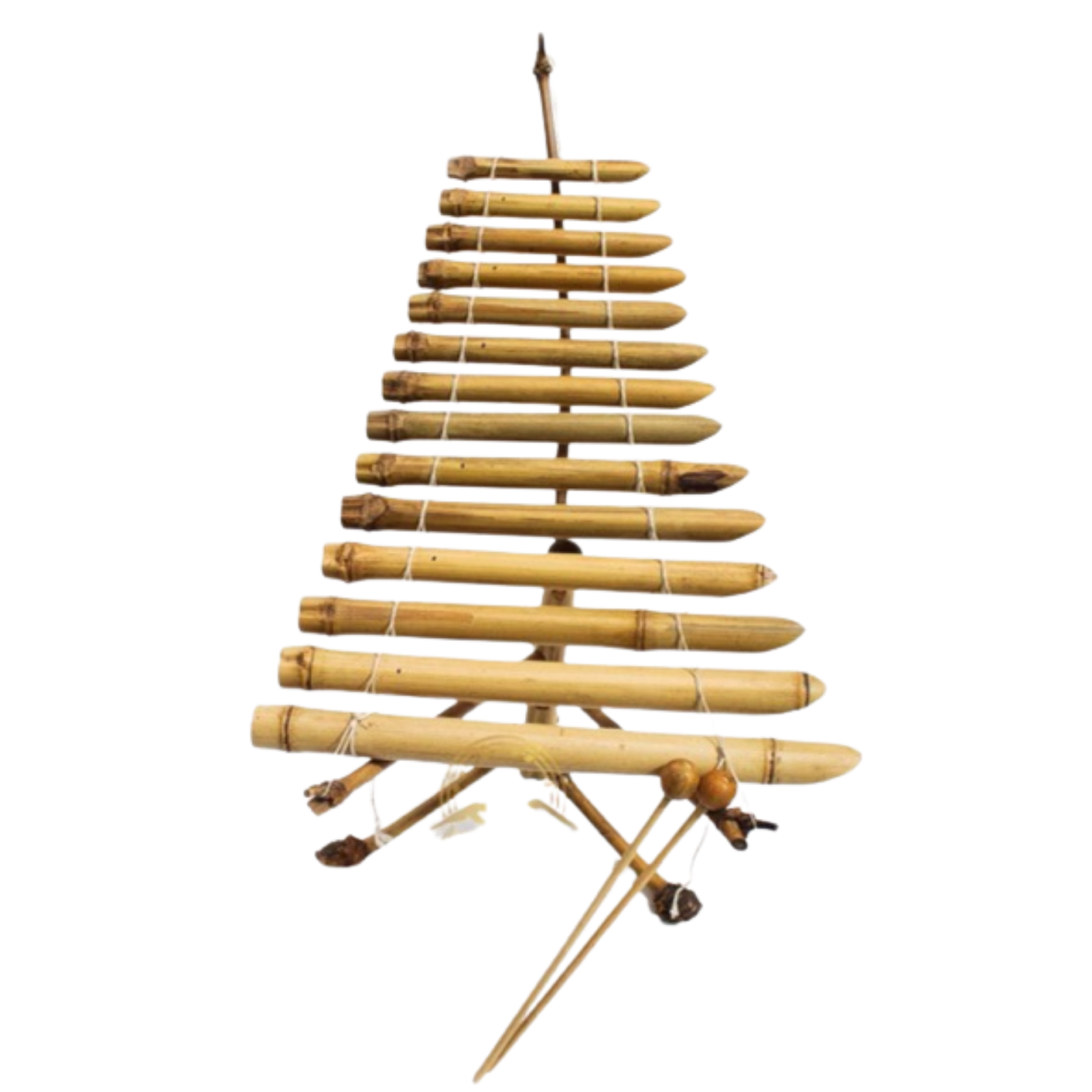 Đàn T'rưng – Tiếng vọng của núi rừng Tây Nguyên